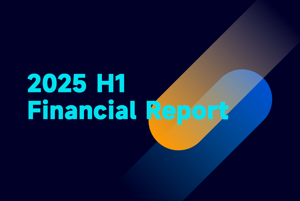 2025 H1 Report